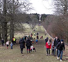 Up the Hill